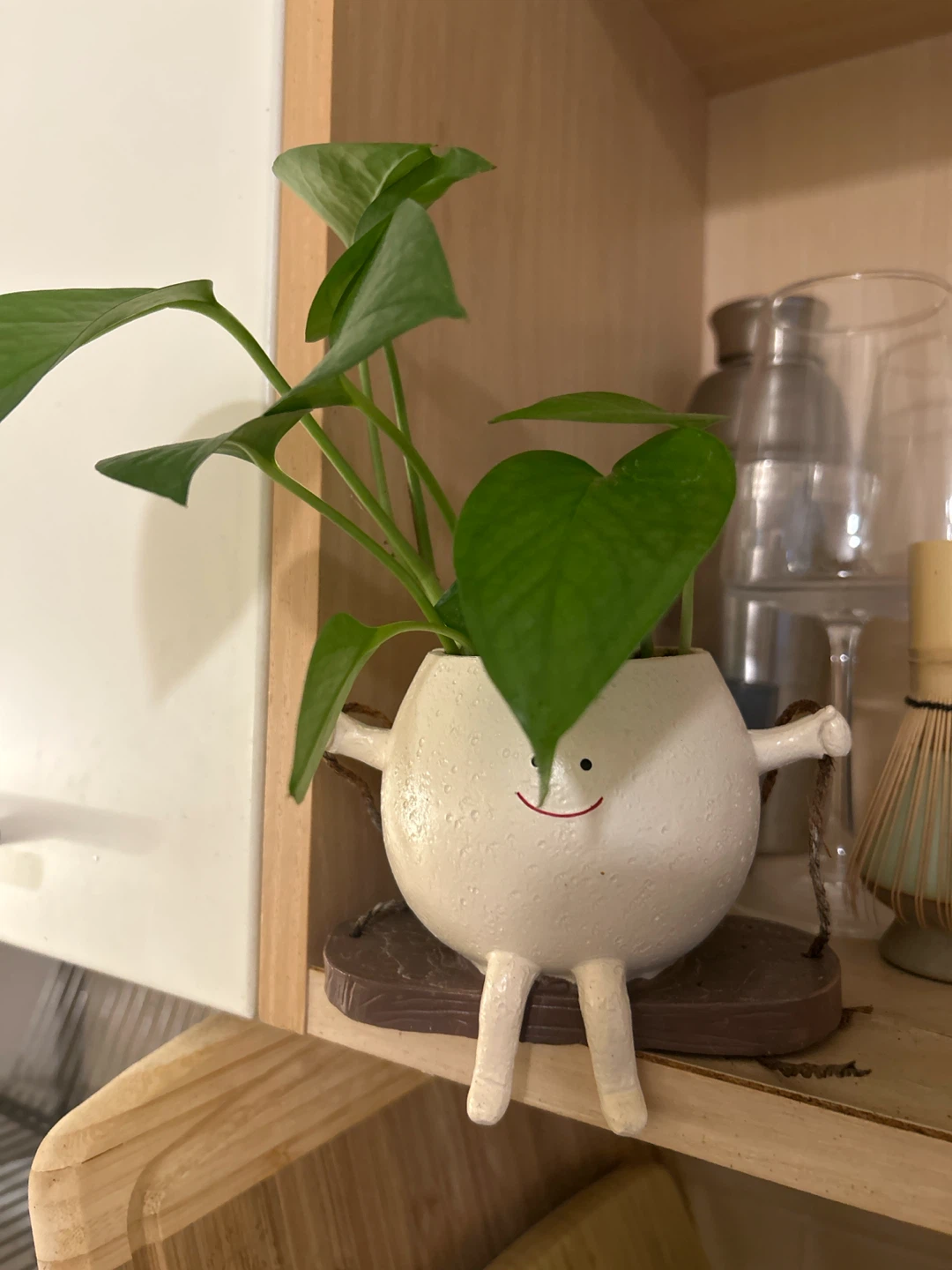 Ceramic Swing Planter