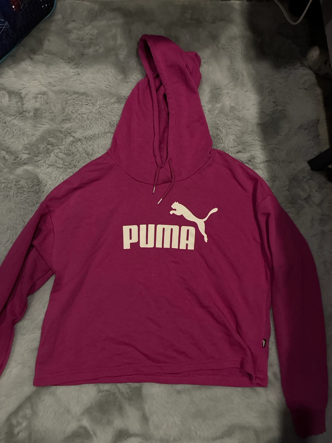 Puma Cropped Hoodie
