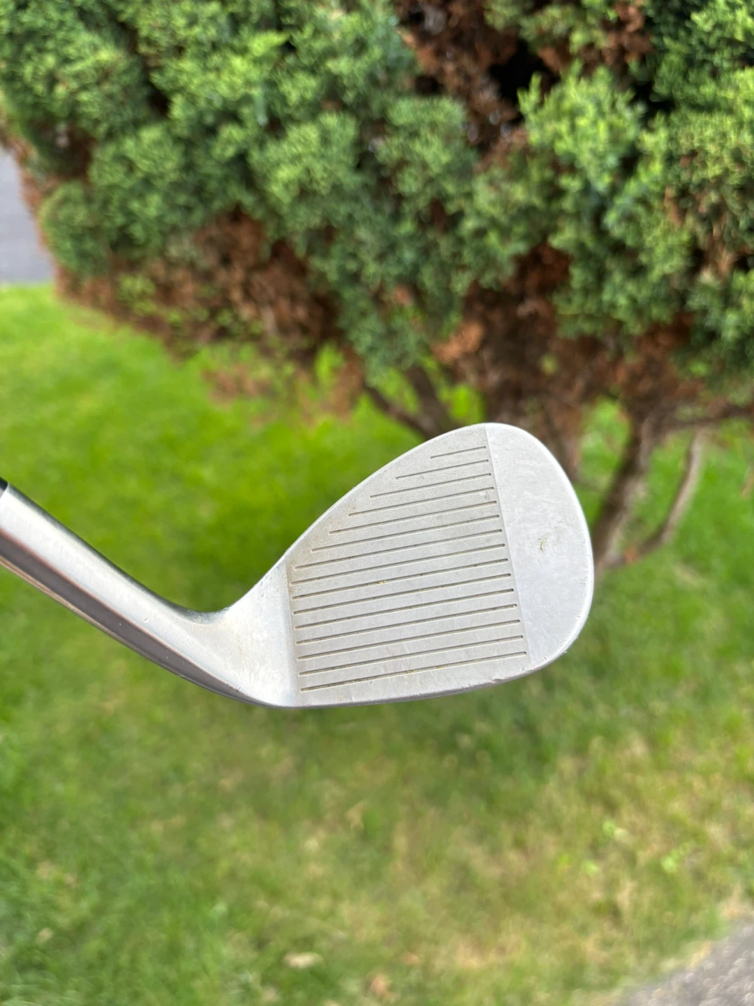 Cobra King Pur 56 Degree Golf Wedge LEFT - photo 2