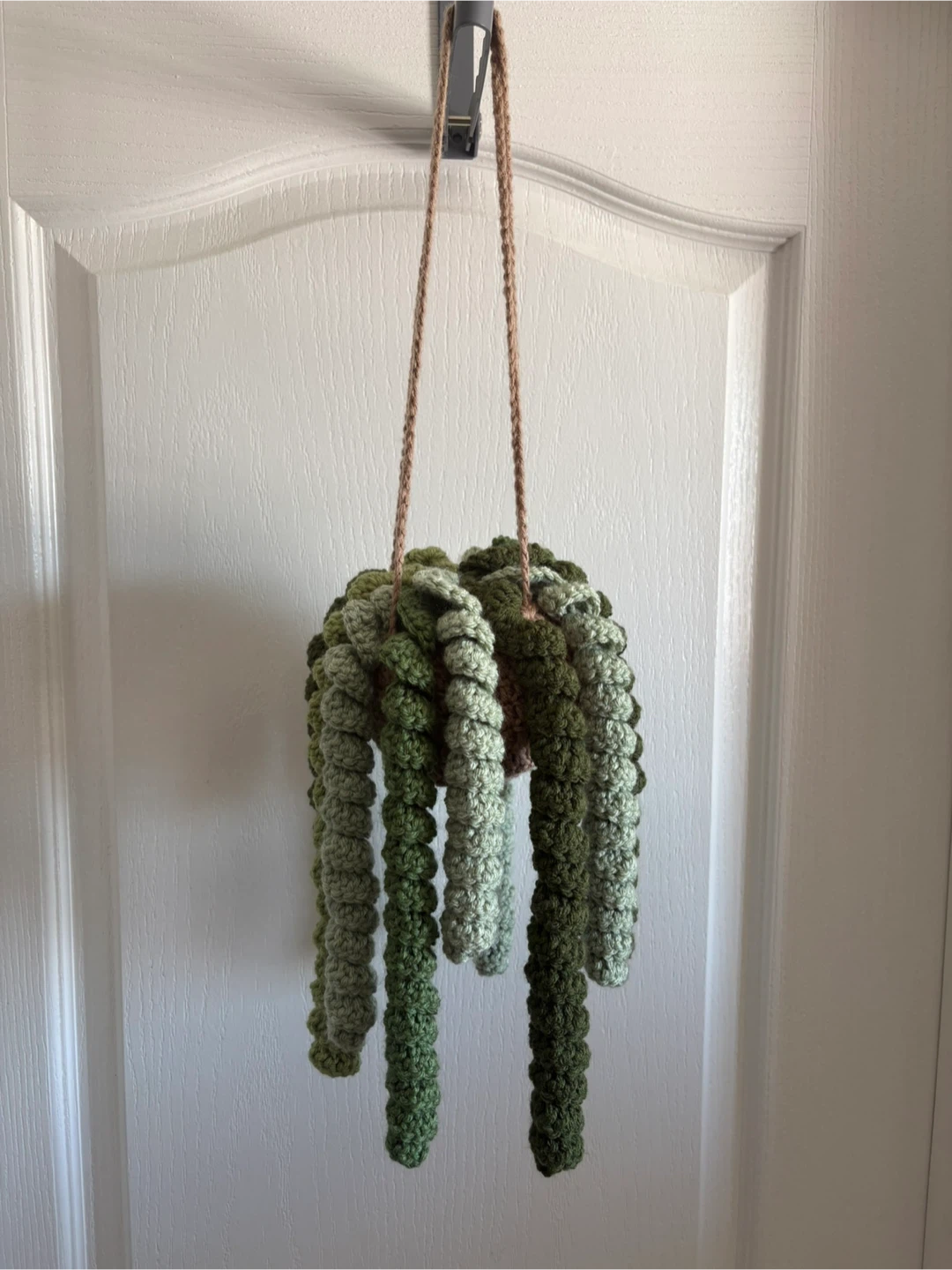 Handmade Crochet Succulent Plant