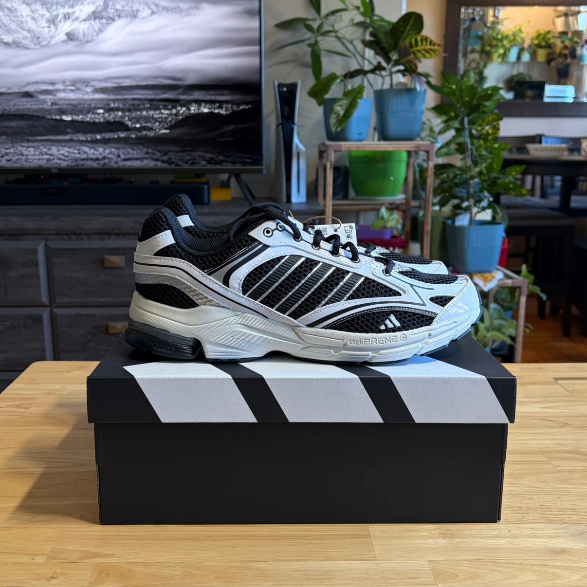 Adidas Spiritian 2000