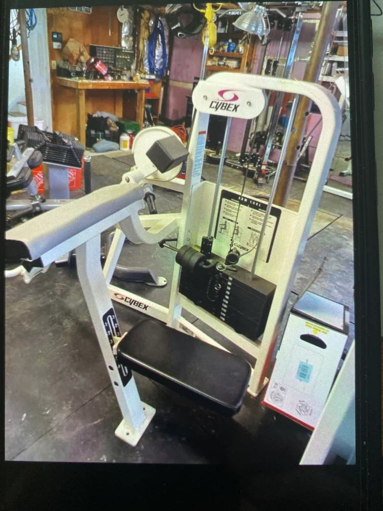 Cybex Arm Curl Machine