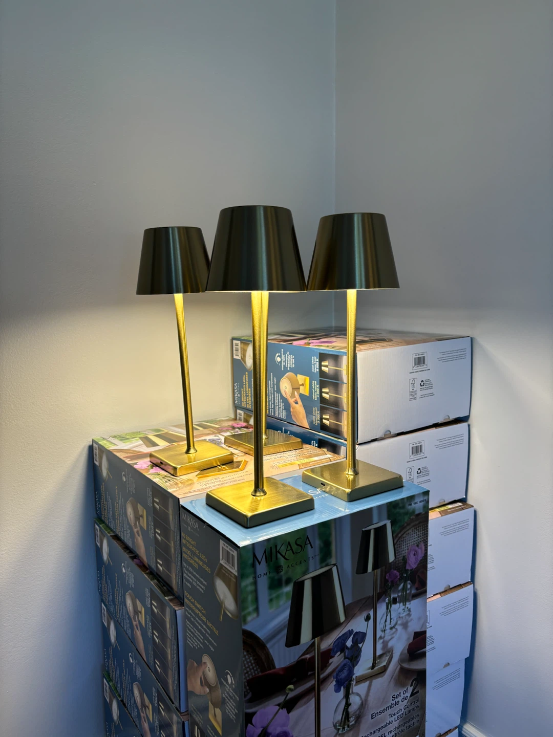 Cordless Lamp Rental - photo 3