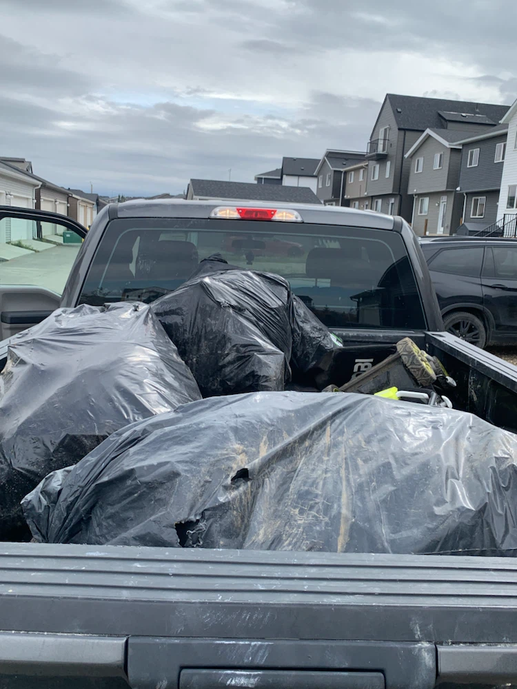 Junk Removal available