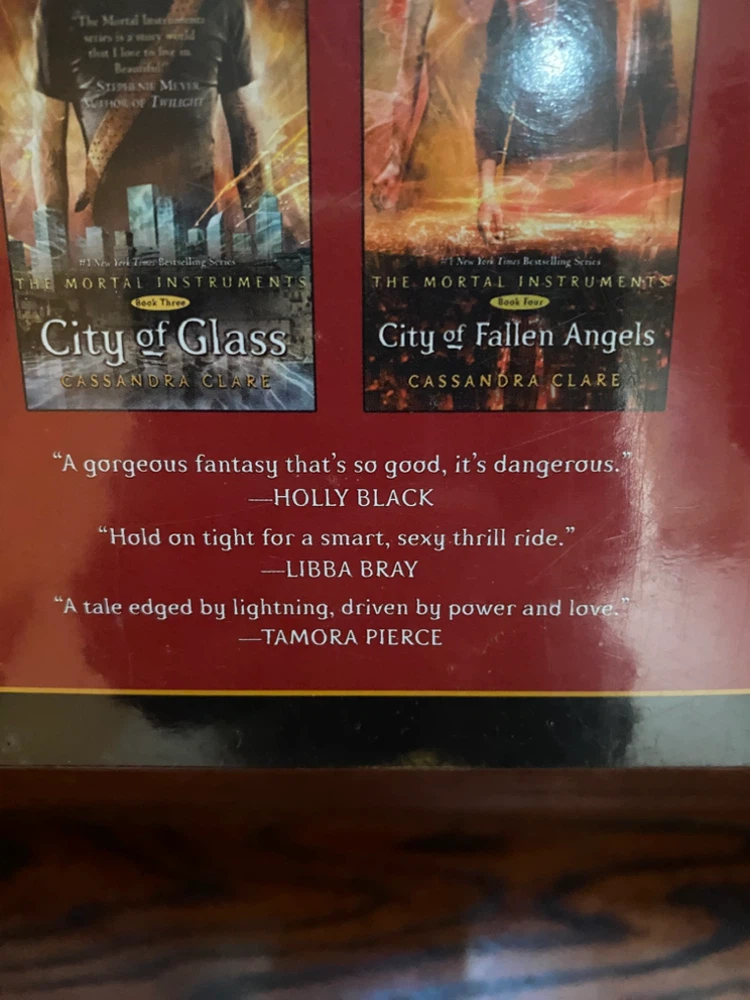 The Mortal Instruments 4-Book Boxed Set - photo 5
