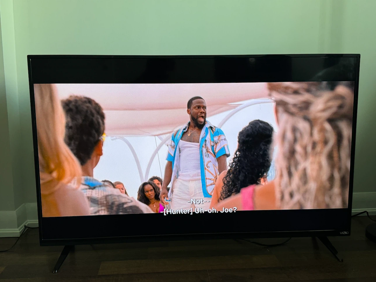 Vizio TV - photo 4