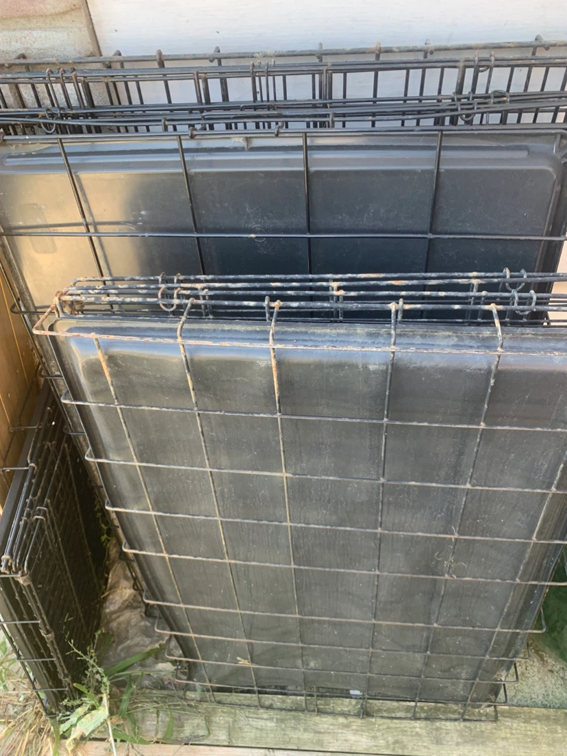 DOG CAGES FOR SALE — SMALL, MEDIUM & LARGE!