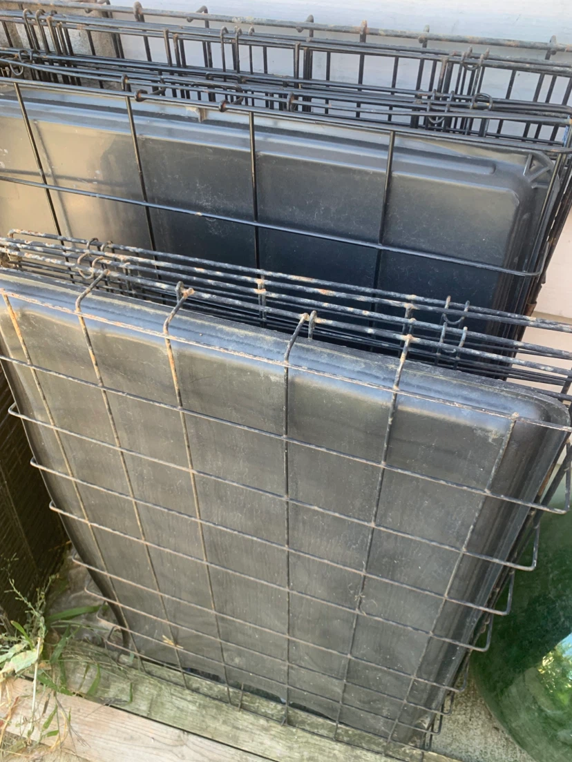 DOG CAGES FOR SALE — SMALL, MEDIUM & LARGE! - photo 2