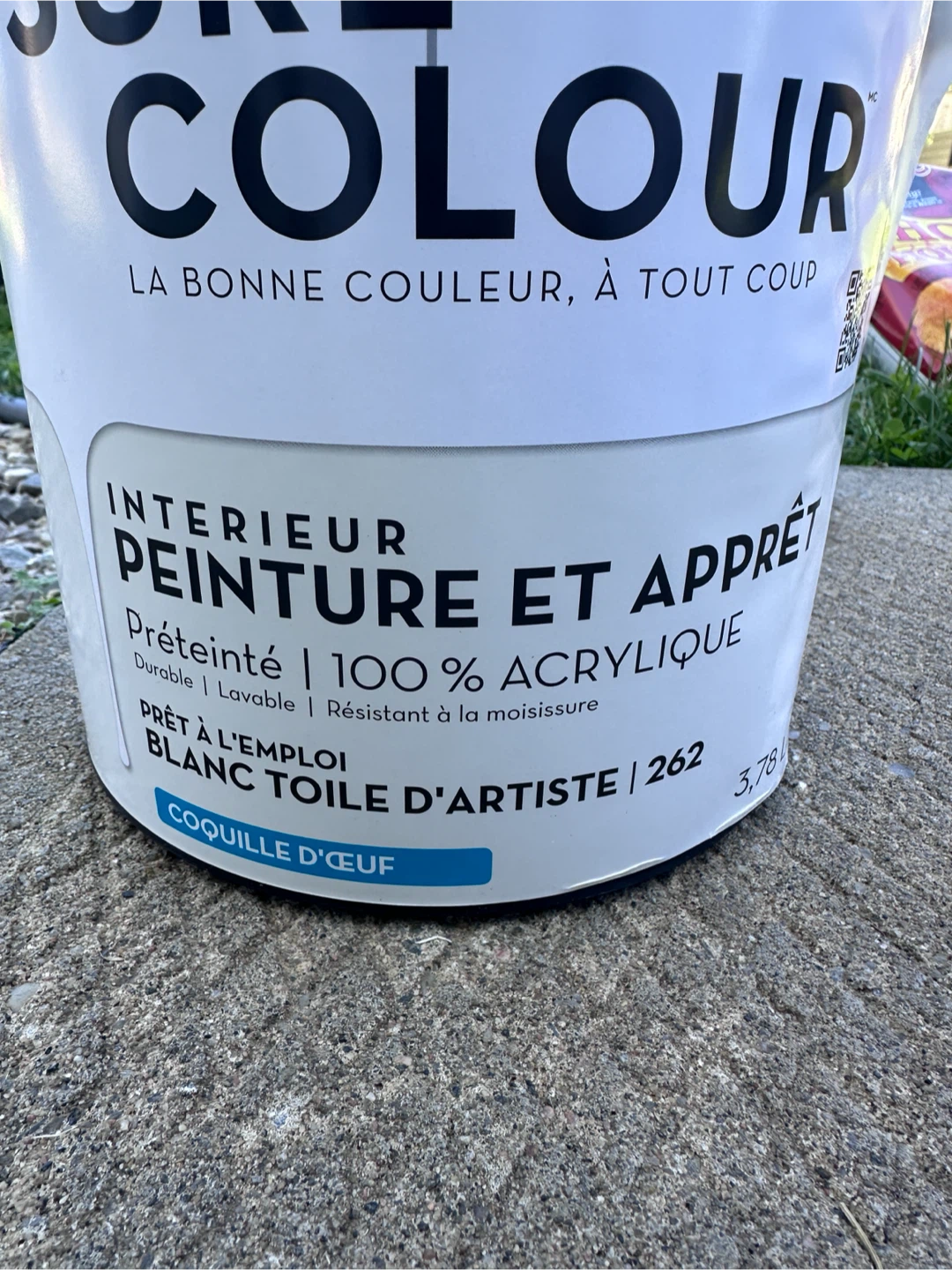 Free paint gallon - photo 2