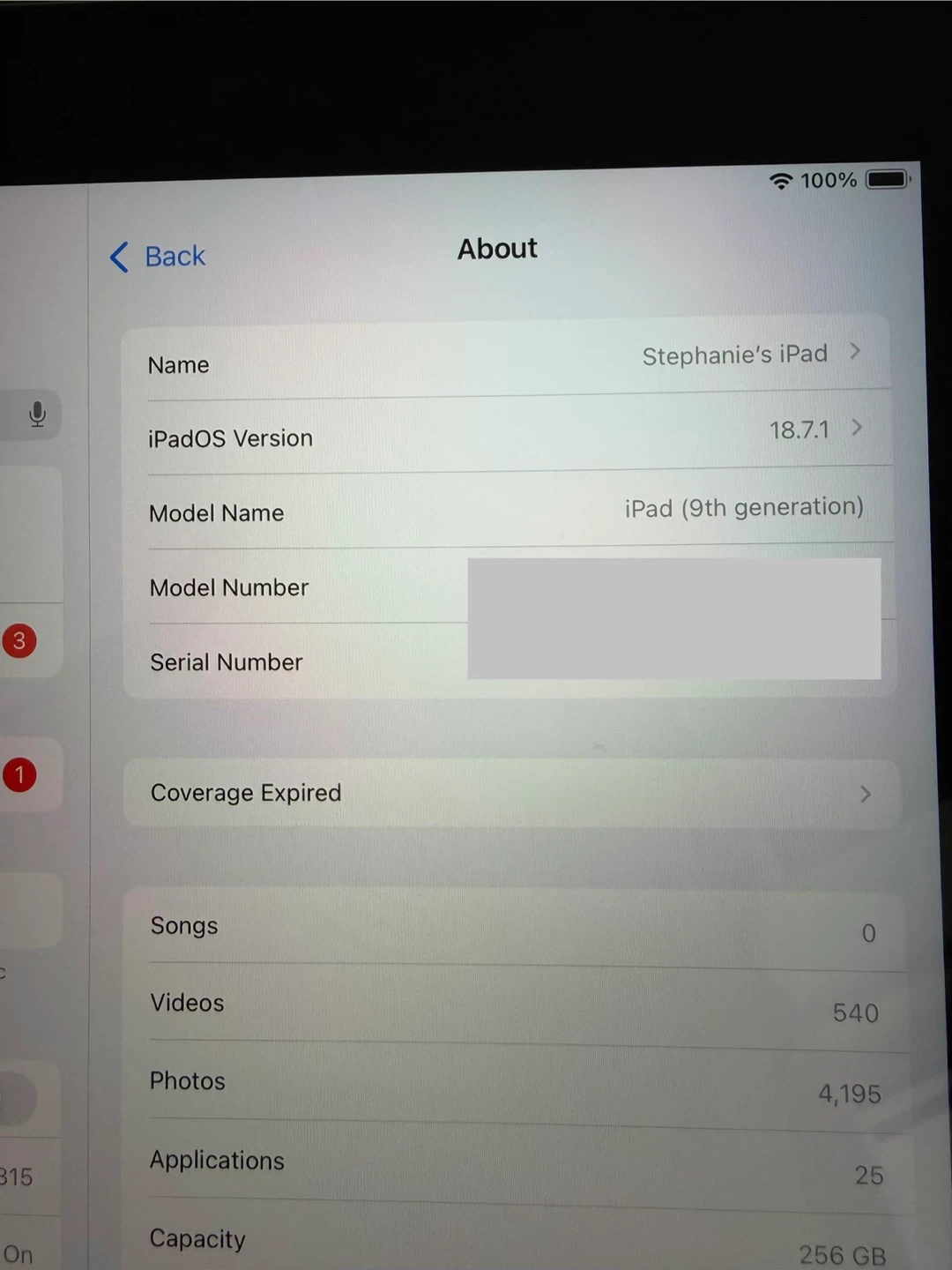 Apple iPad 9th Generation 256GB with goojodoq apple pen - photo 3