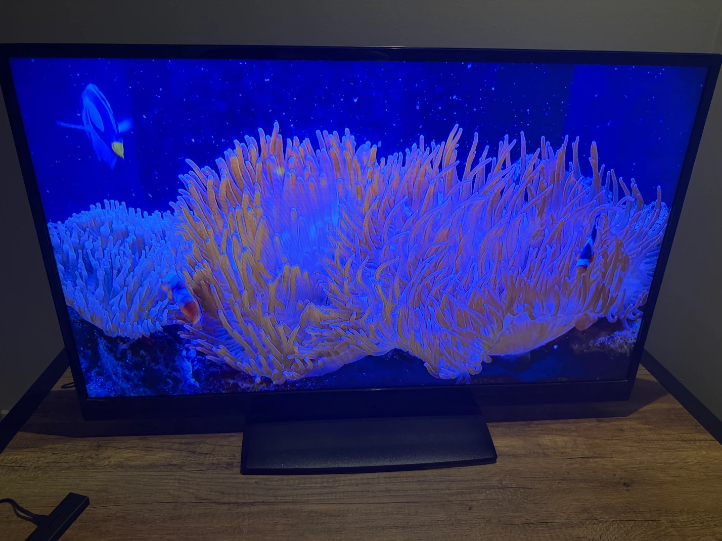Insignia 39-inch LED TV - photo 2