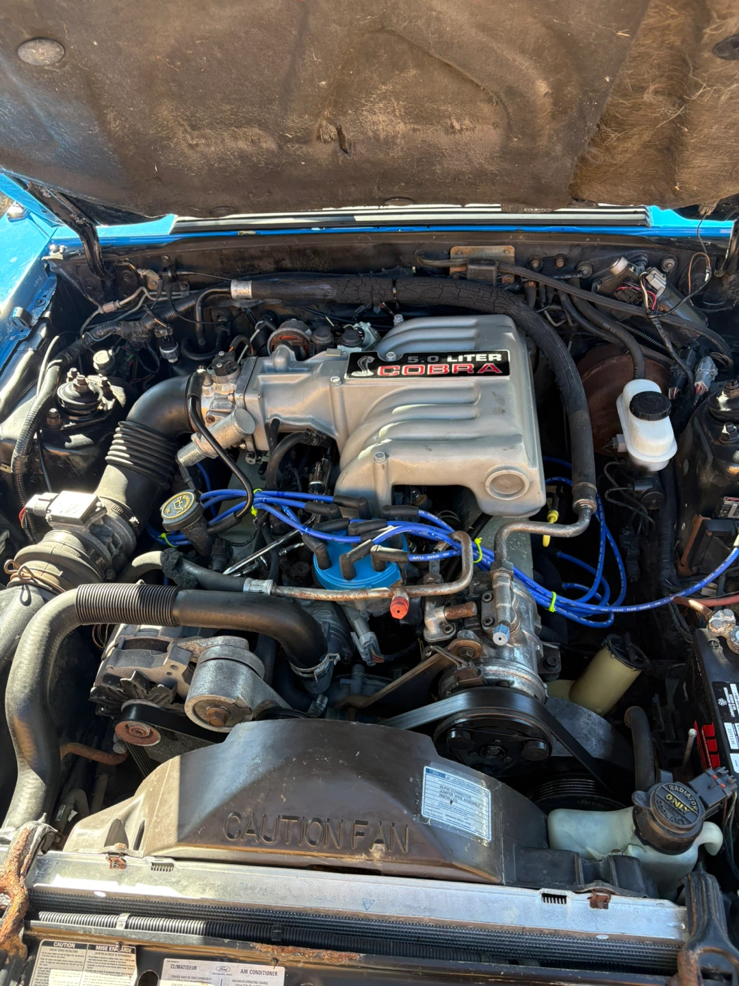 1990 Ford Mustang 5.0 FoxBody - photo 5