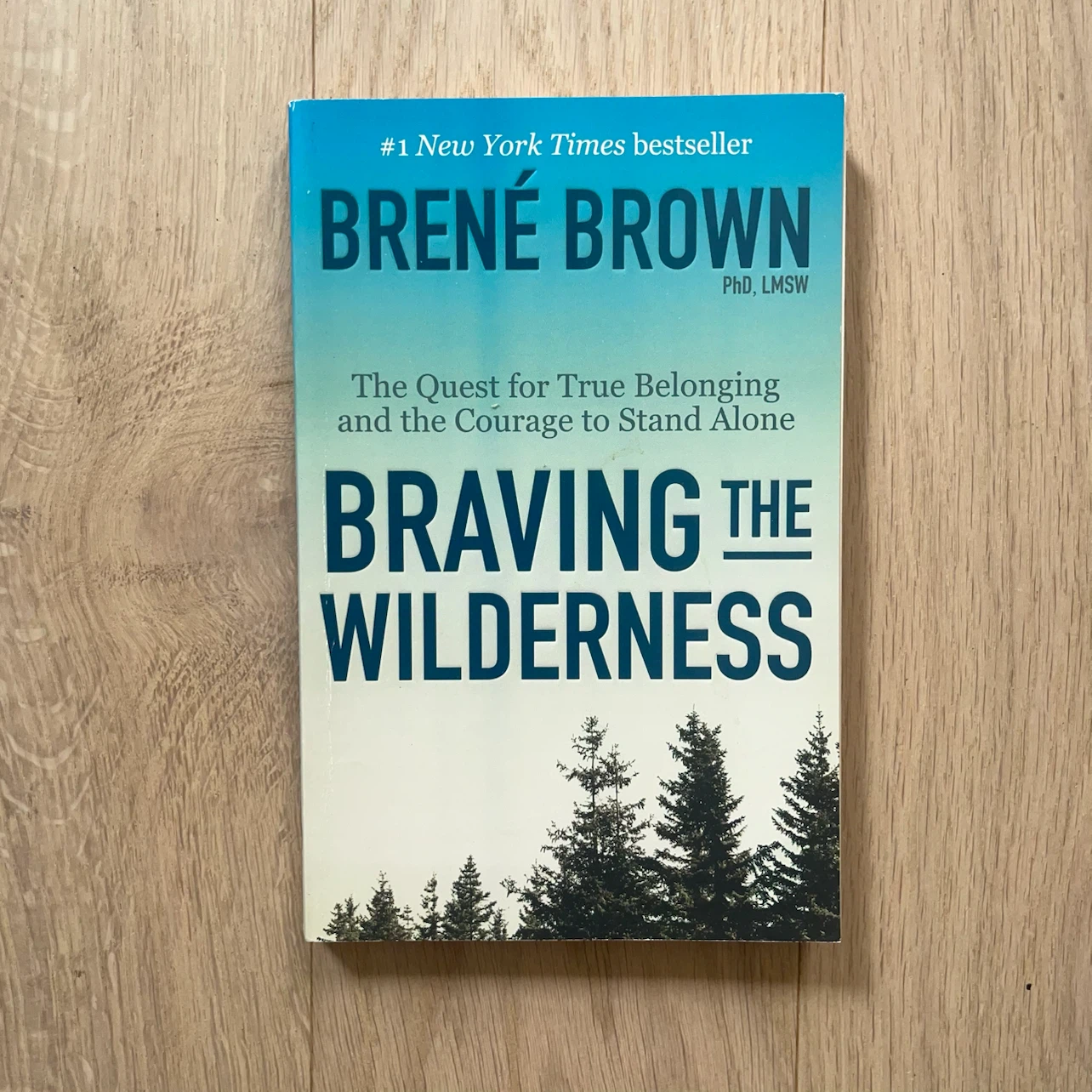 Braving the Wilderness by Brené Brown