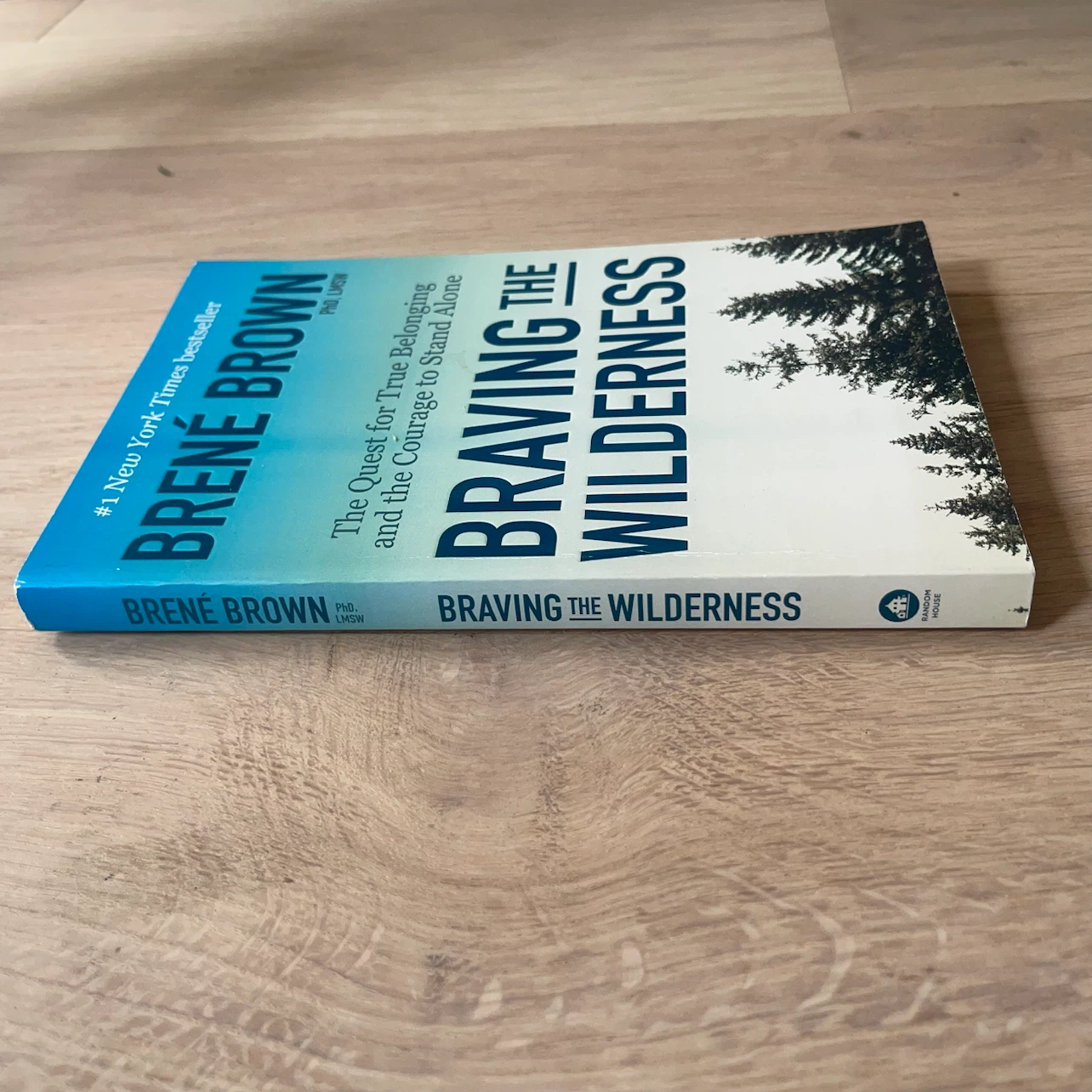 Braving the Wilderness by Brené Brown - photo 2