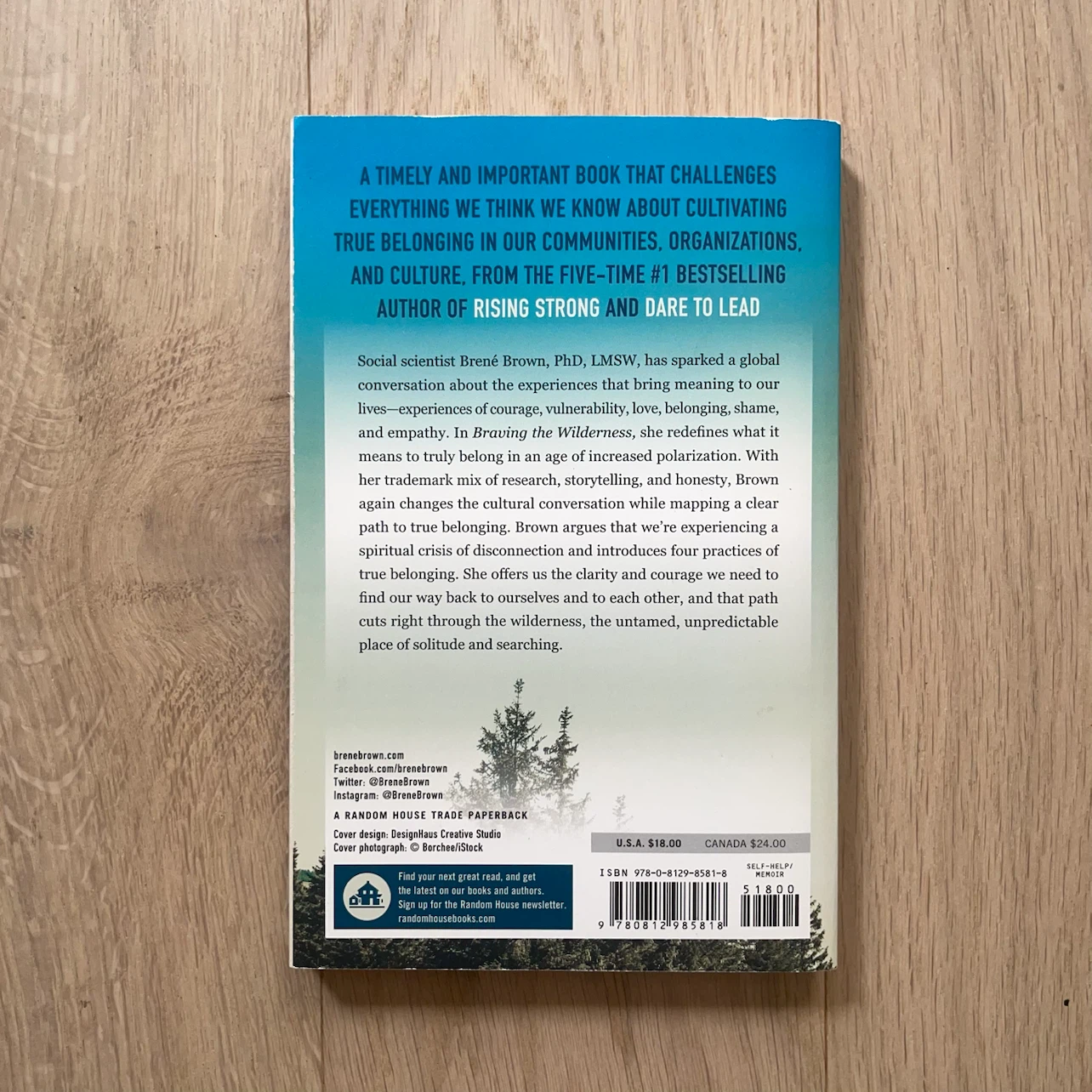 Braving the Wilderness by Brené Brown - photo 3
