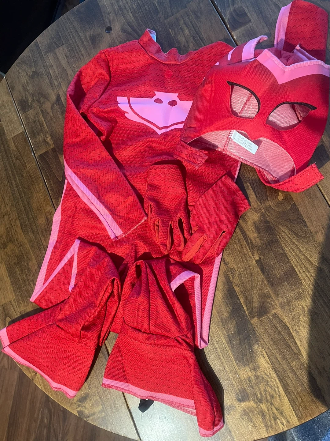 PJ Masks Owlette Costume