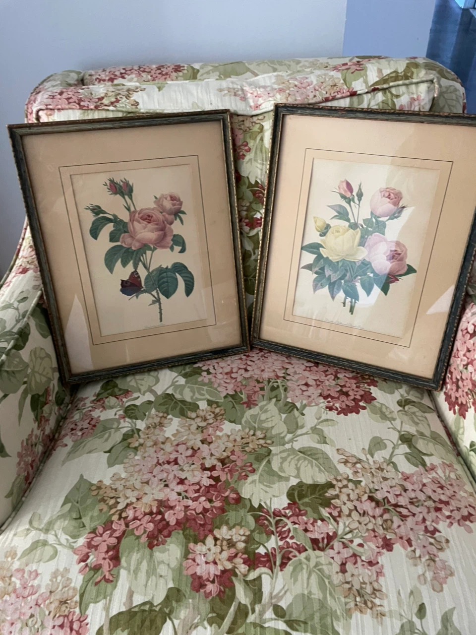 Pair of Antique Rose Botanical Prints