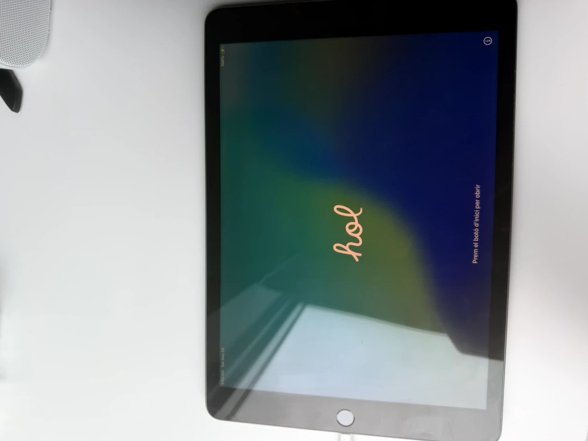 Apple iPad - photo 4
