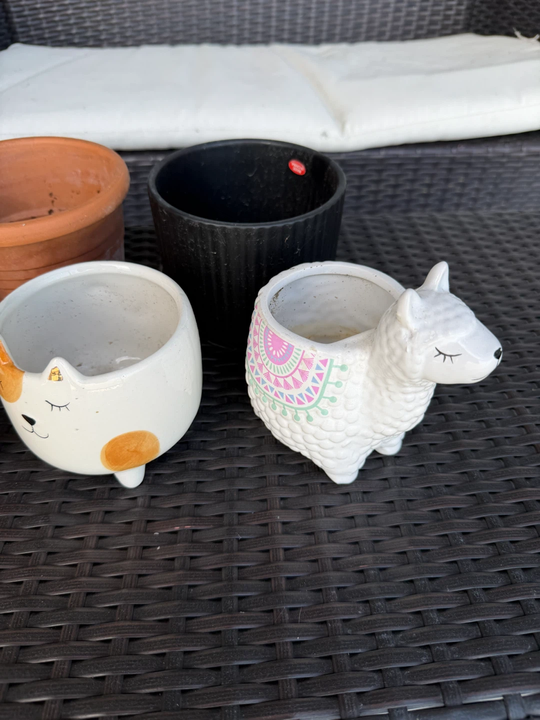 Set of 6 assorted decorative plant pots