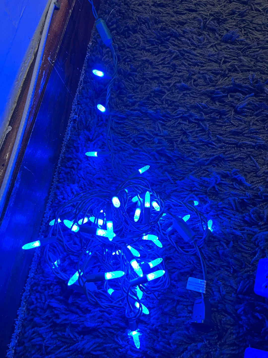 Blue Decorative LED String Lights - photo 3