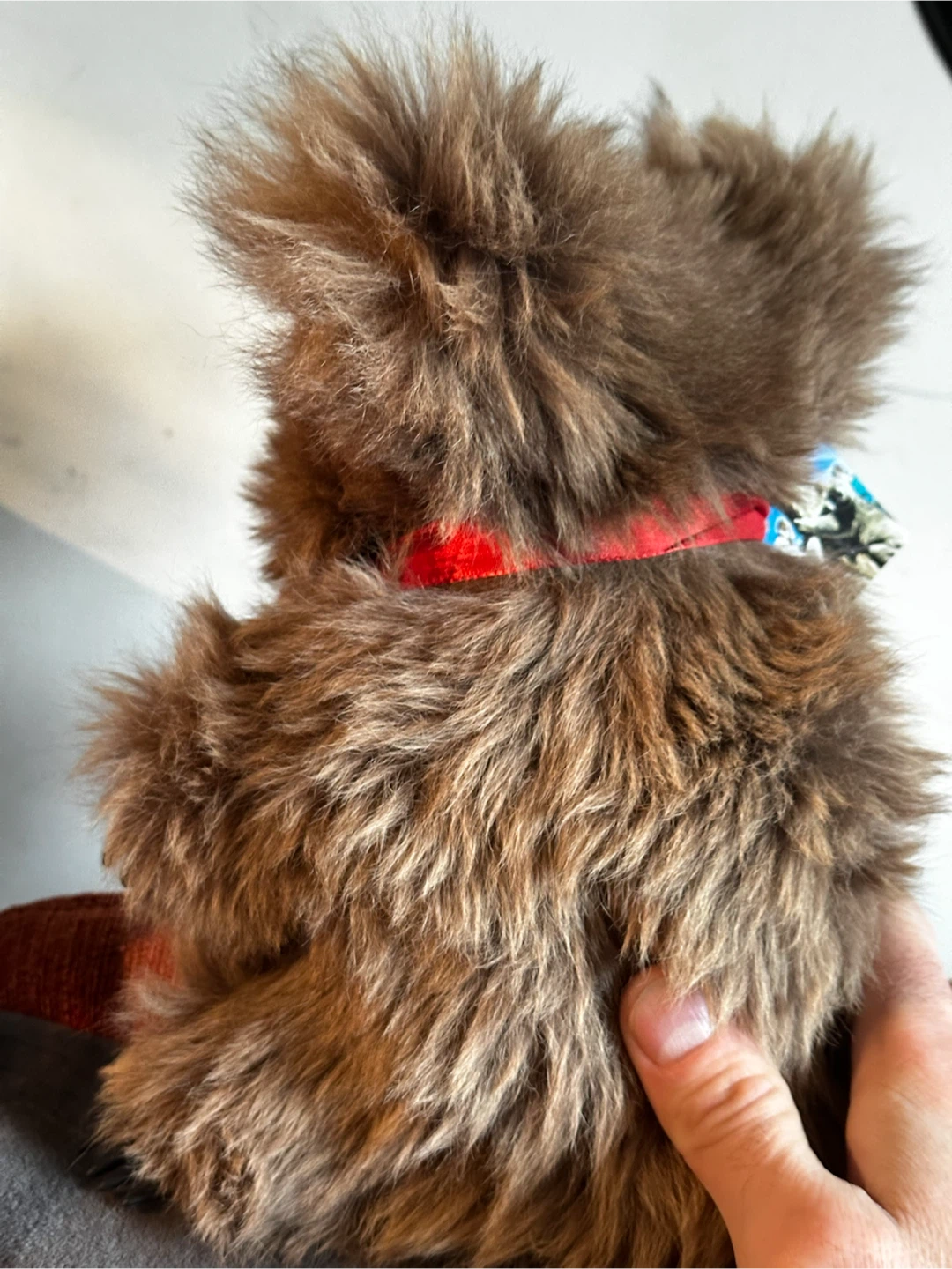 9” Retro Kangaroo Fur Koala Souvenir Plush With Tag - photo 2