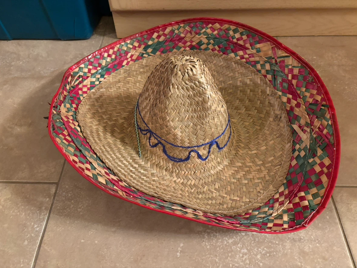 Assorted Woven Straw Hats - Great for Halloween!! - photo 2
