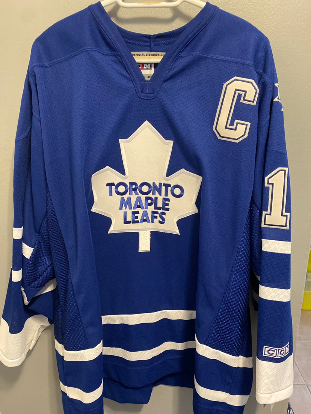 Leafs Jersey