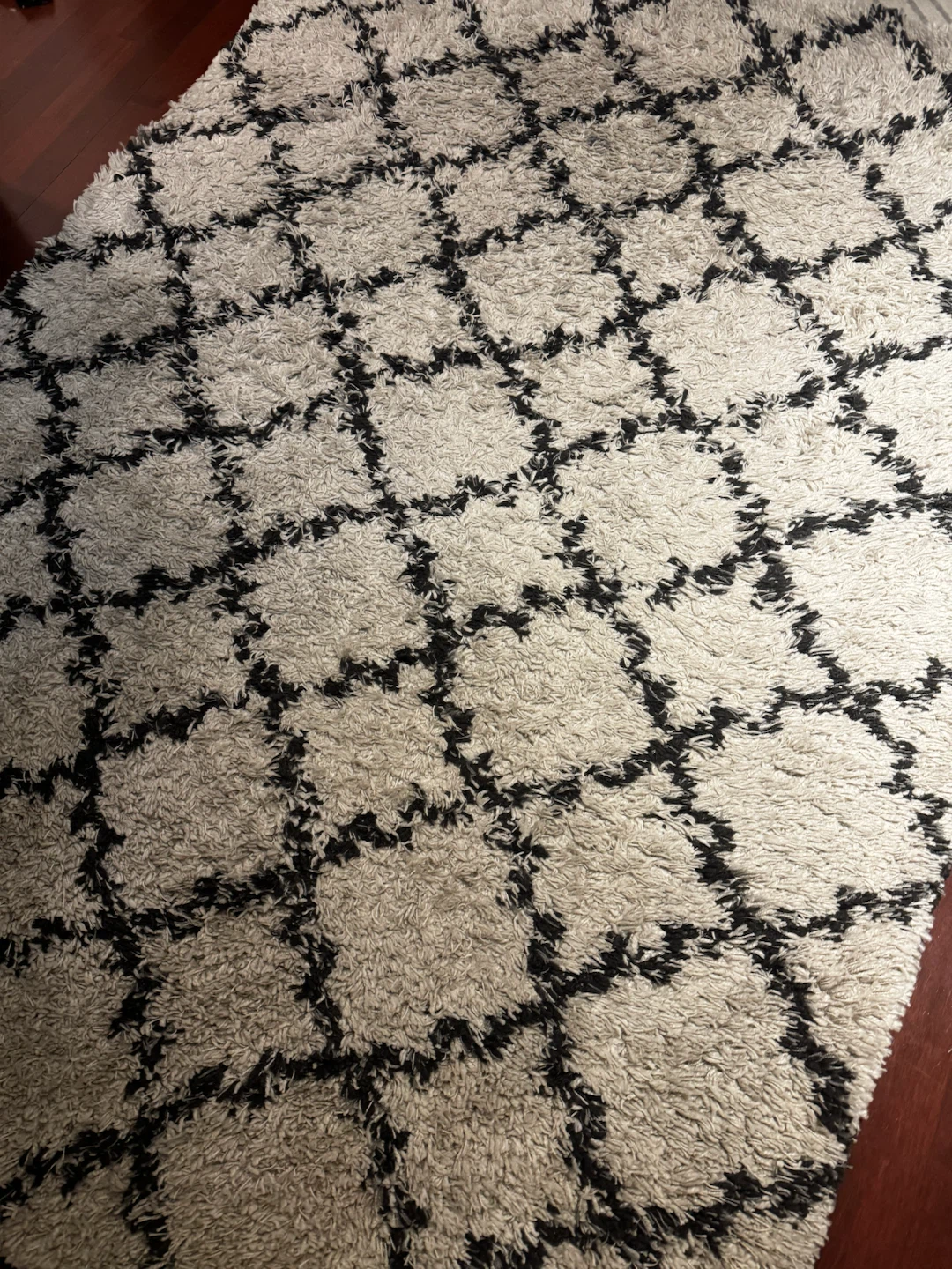 Home Dynamix Himalaya Cream and Black Area Rug - photo 2
