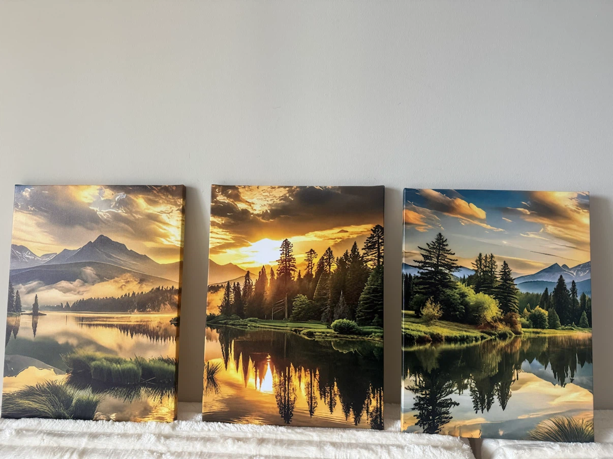3pcs framed canvas paintings