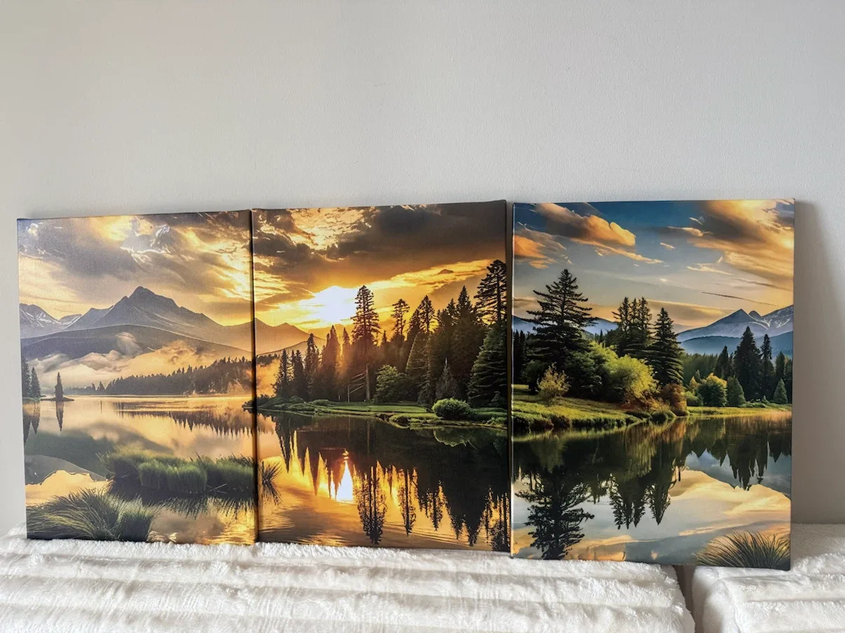 3pcs framed canvas paintings - photo 2