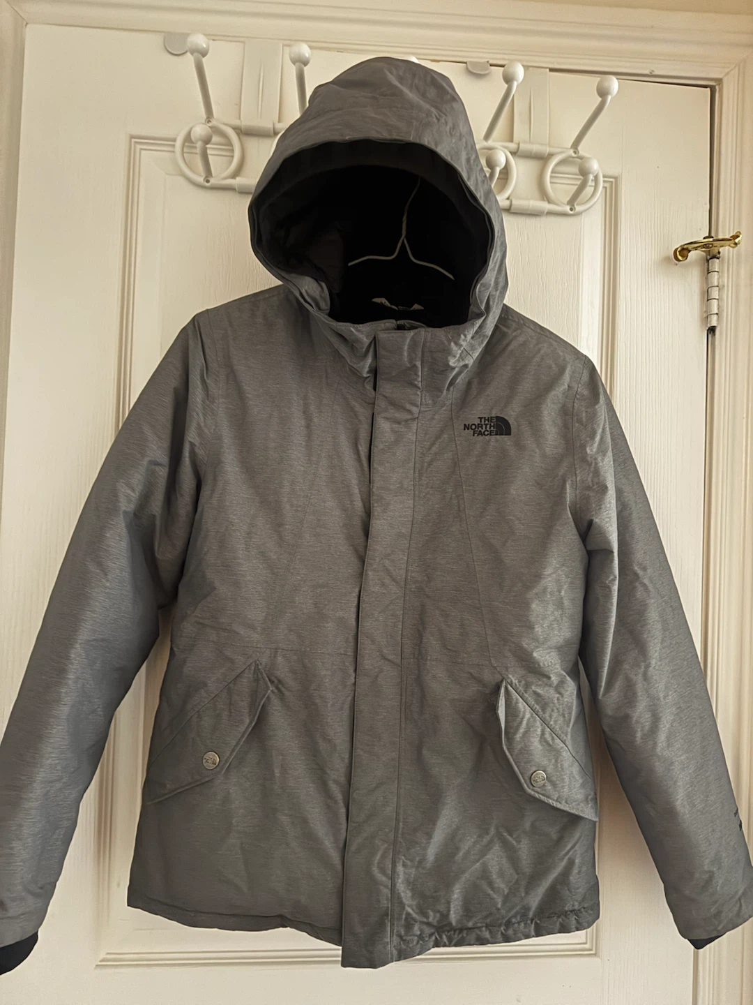 The North Face DryVent 550 Down Jacket