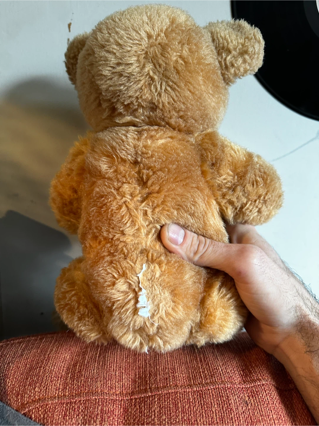 16.5” Vintage Mohair Teddy Bear Five Way Disk Jointed - photo 4