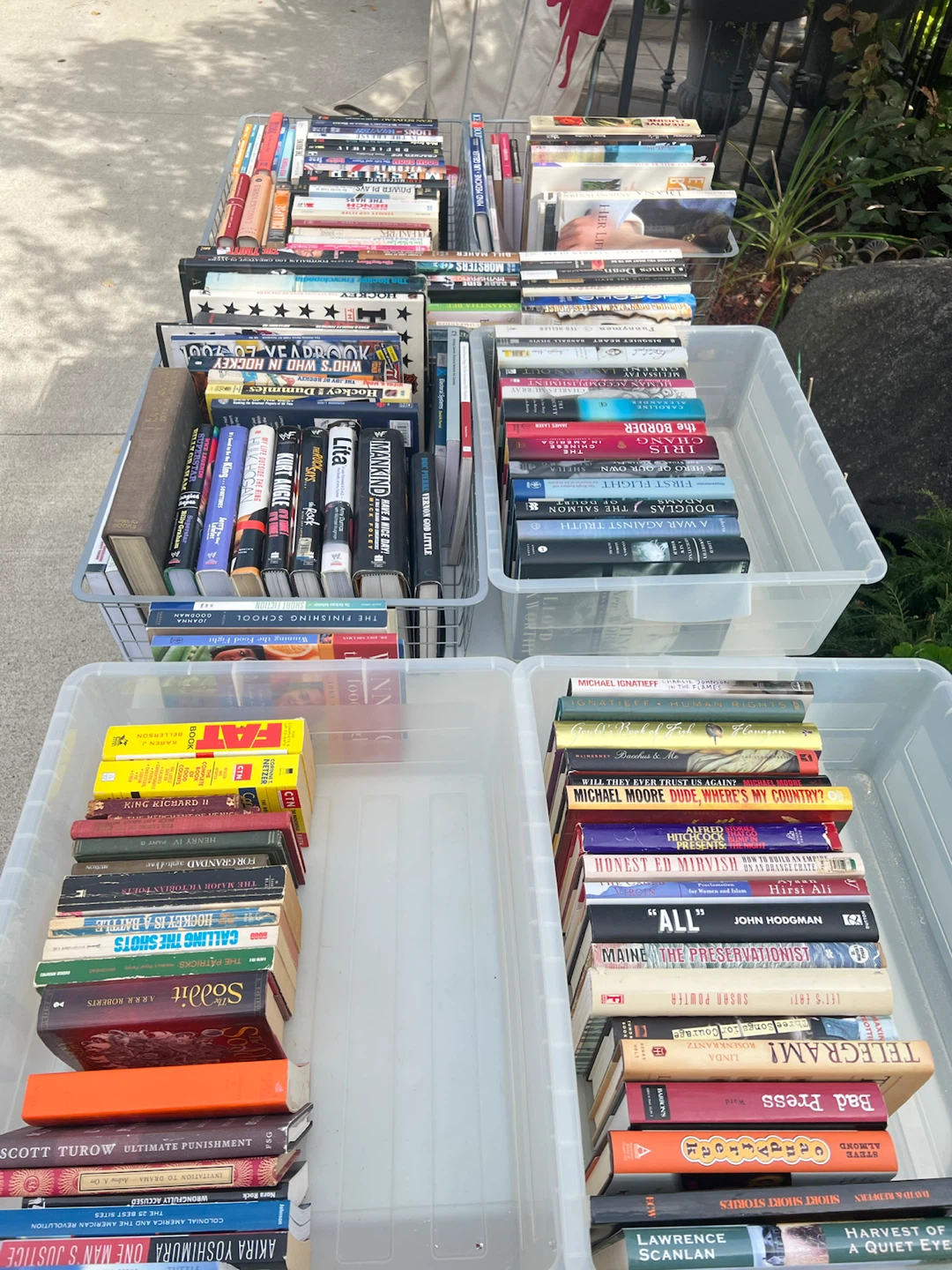 Large Collection of Assorted Books