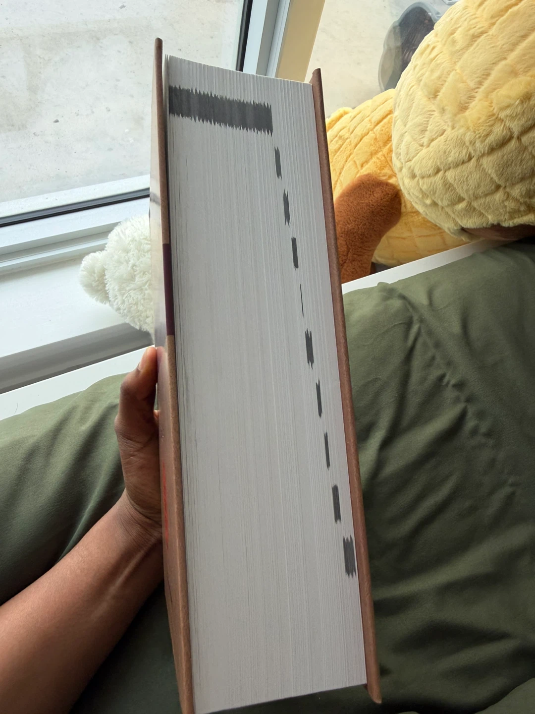 2026 Martin's Annual Criminal Code Student Edition - photo 3