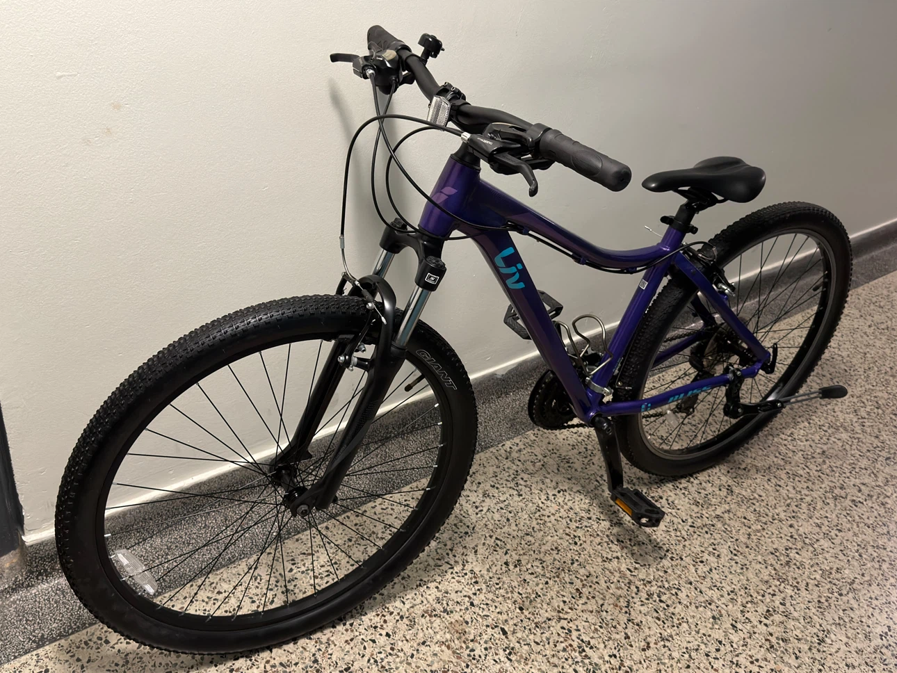 Liv Bliss Mountain Bike