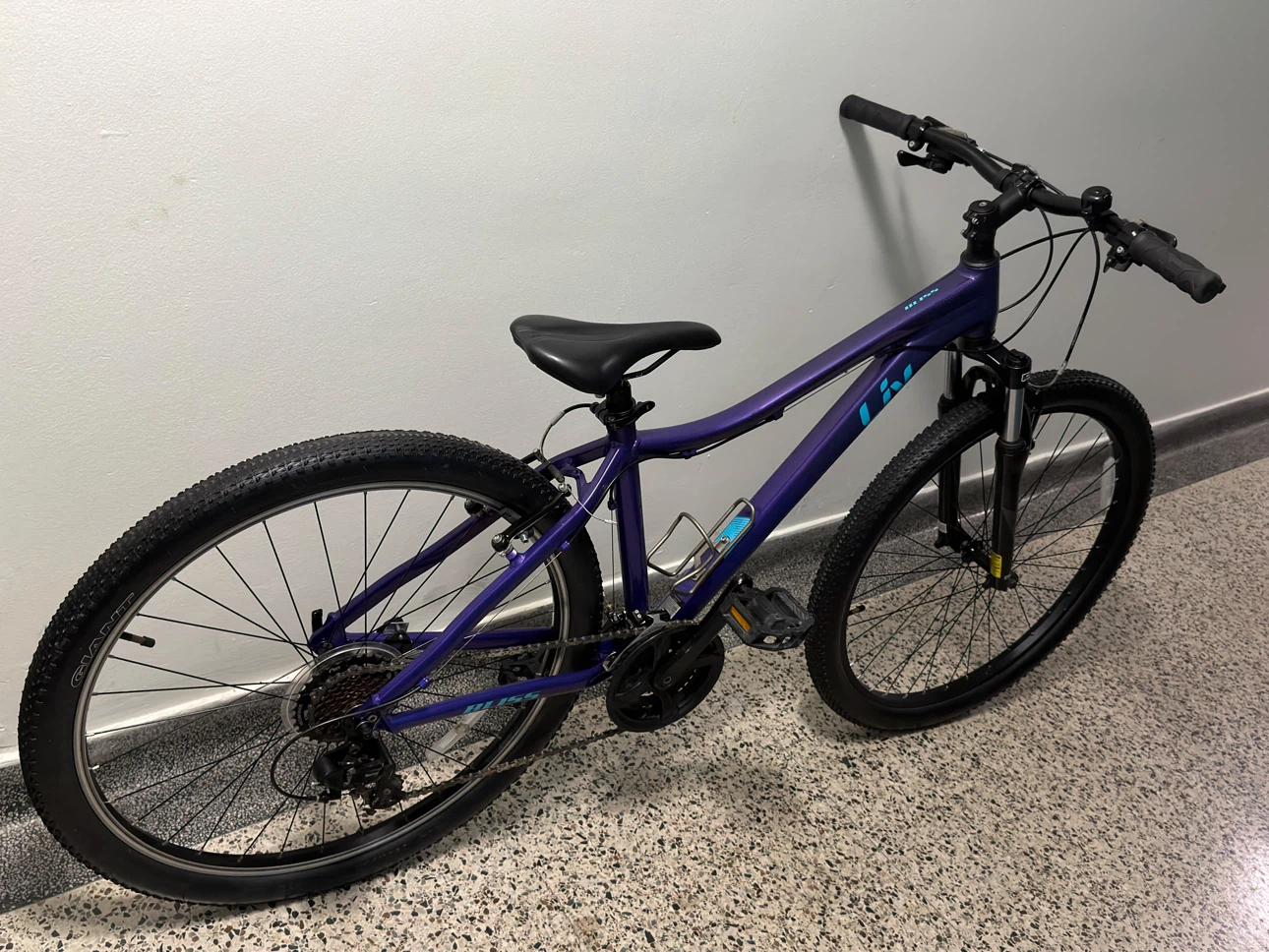 Liv Bliss Mountain Bike - photo 2