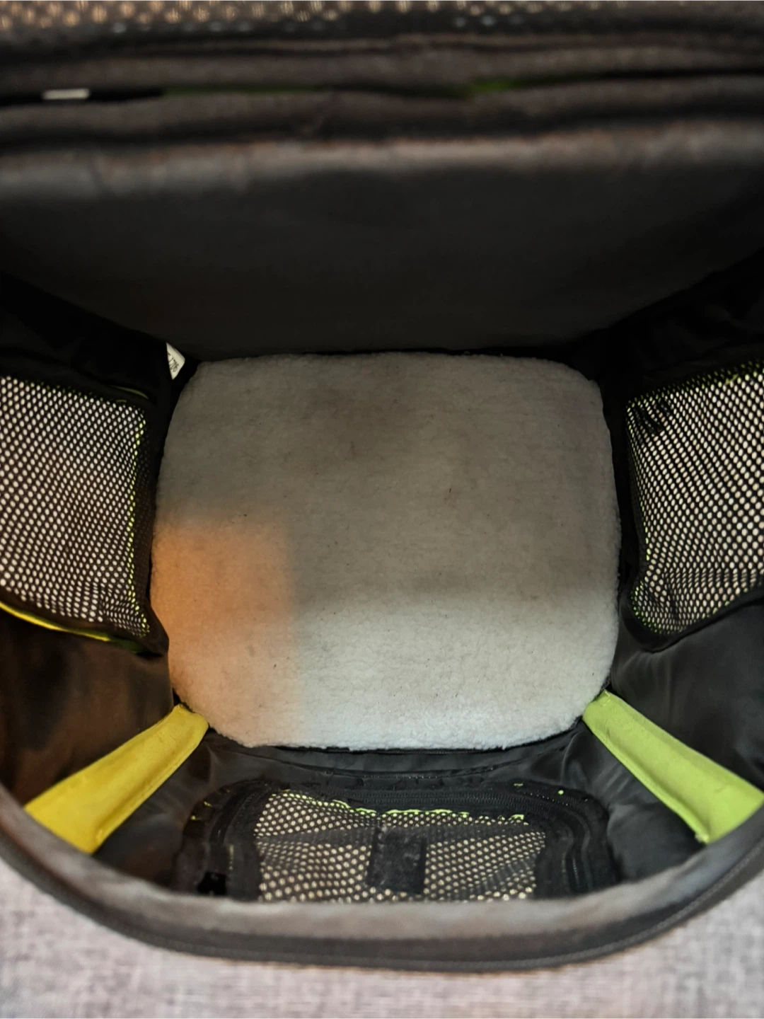 Petsfit Pet Backpack Carrier - photo 4