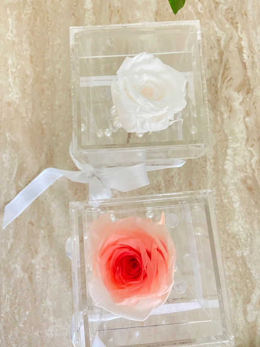 Preserved Rose in Acrylic Display Box - photo 2