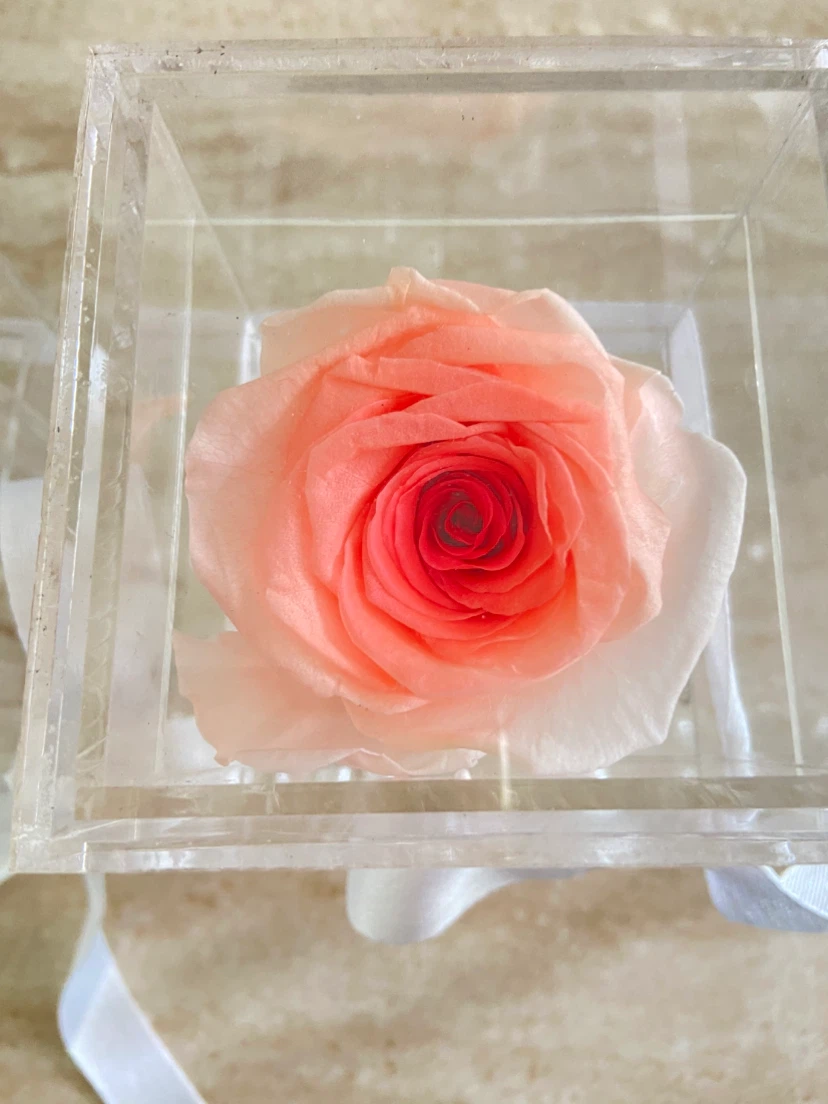 Preserved Rose in Acrylic Display Box - photo 5