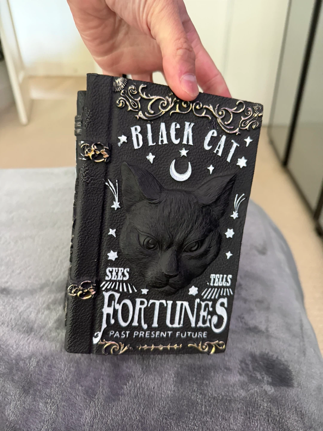 Decorative Black Cat Fortunes Book Box