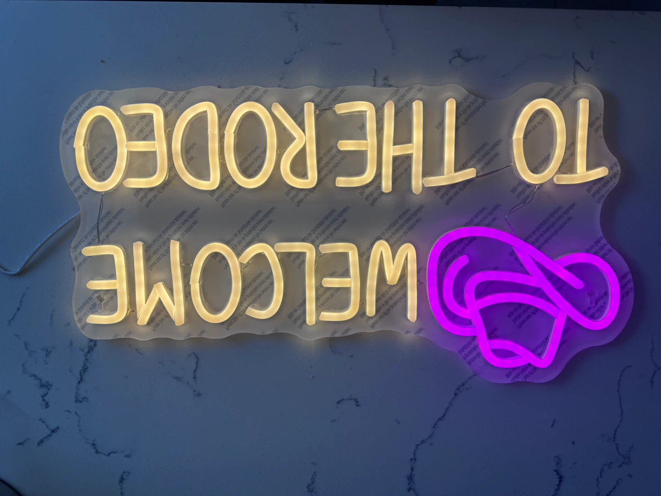 Welcome to the Rodeo Neon Mood Light