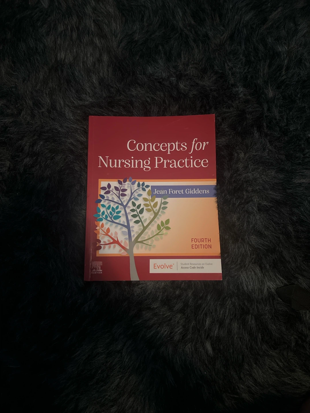 Concepts for Nursing Practice - Fourth Edition