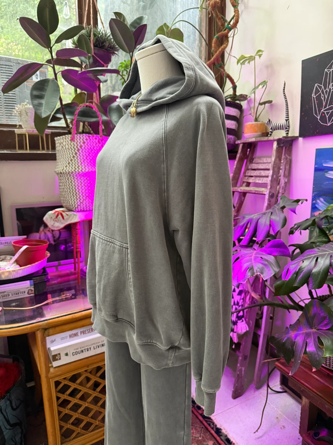 Aritzia Hoodie & Sweatpants Boyfriend Fit - photo 3