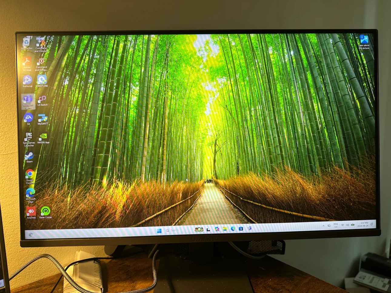 LG UltraGear 24" Gaming Monitor
