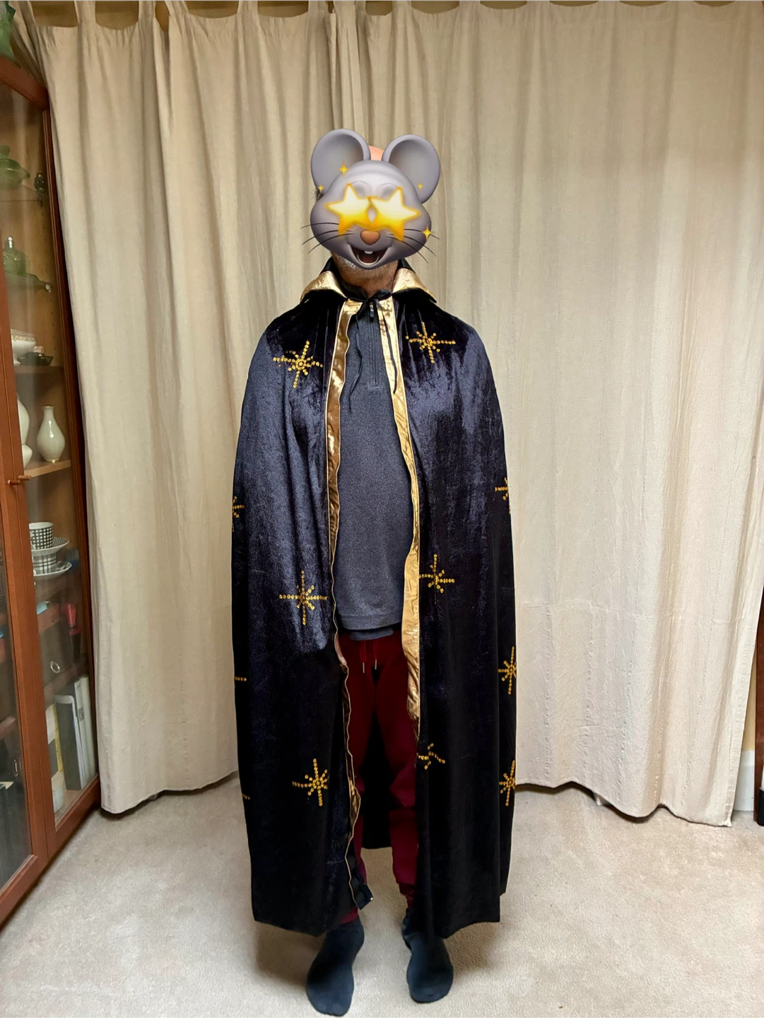 Halloween costume cape Black Velvet Wizard Sorcerer Gold Stars