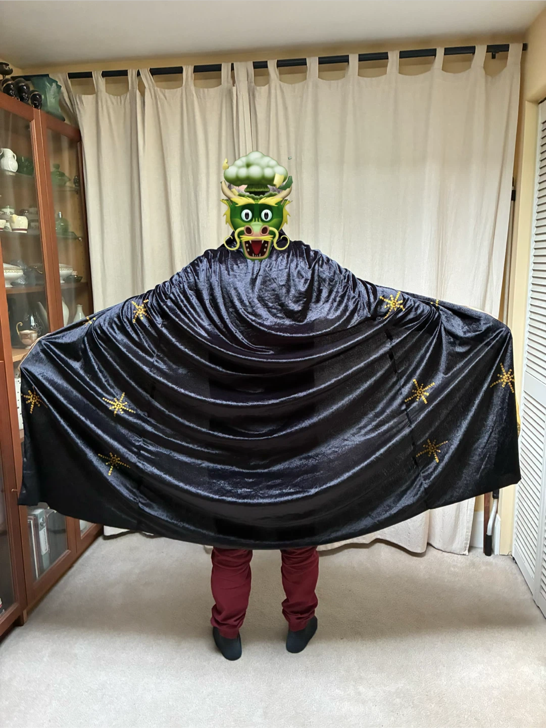 Halloween costume cape Black Velvet Wizard Sorcerer Gold Stars - photo 2
