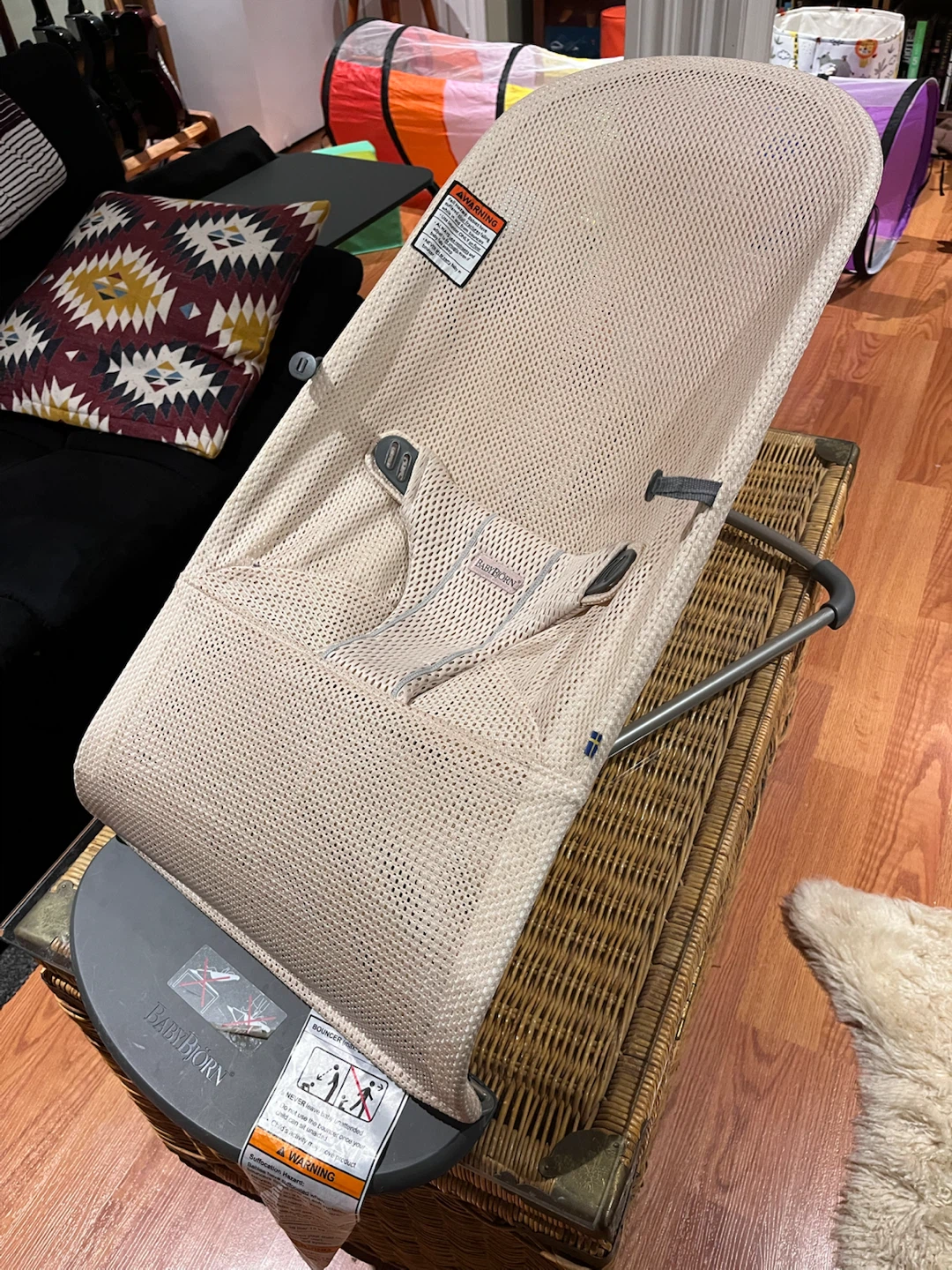 BABYBJORN Baby Bouncer