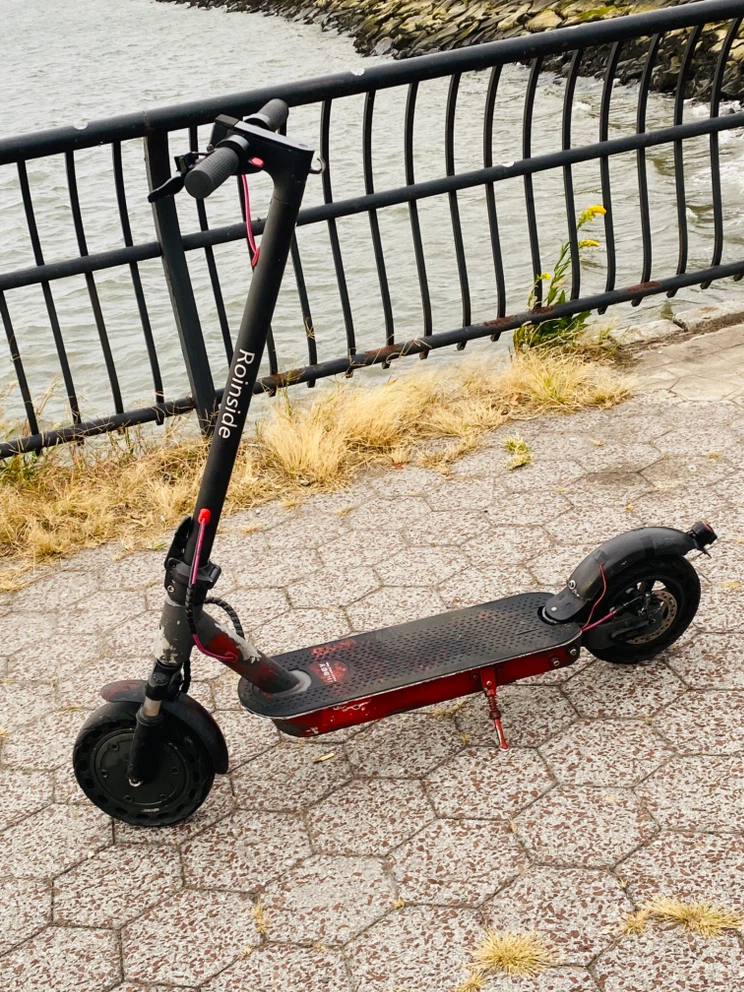 Roinside Electric Scooter
