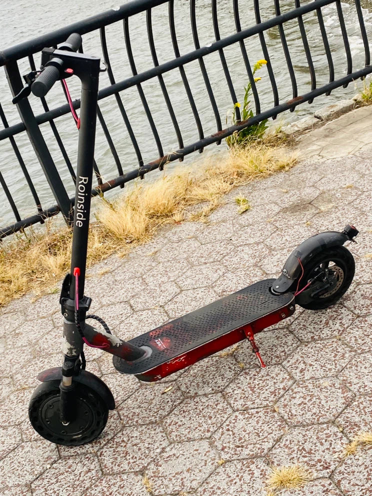 Roinside Electric Scooter - photo 4