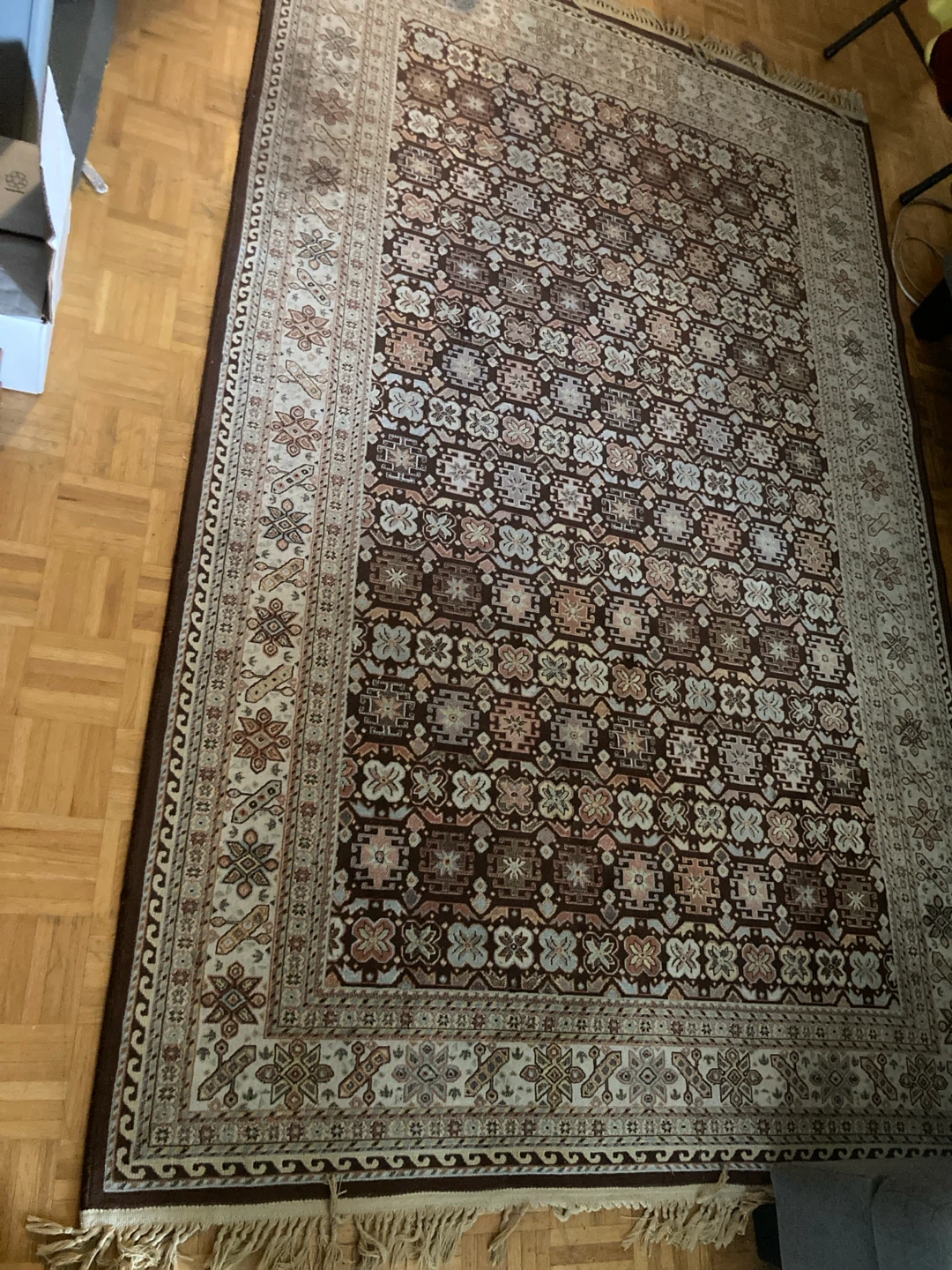 Traditional Pattern Area Rug